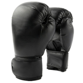 Boxing glove 12OZ