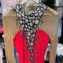 Leotard 21 red silver