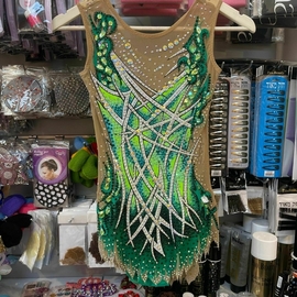 Green silver leotard for rent