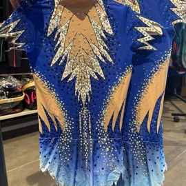 BLUE-WHITE leotard