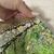 Second hand Leotards